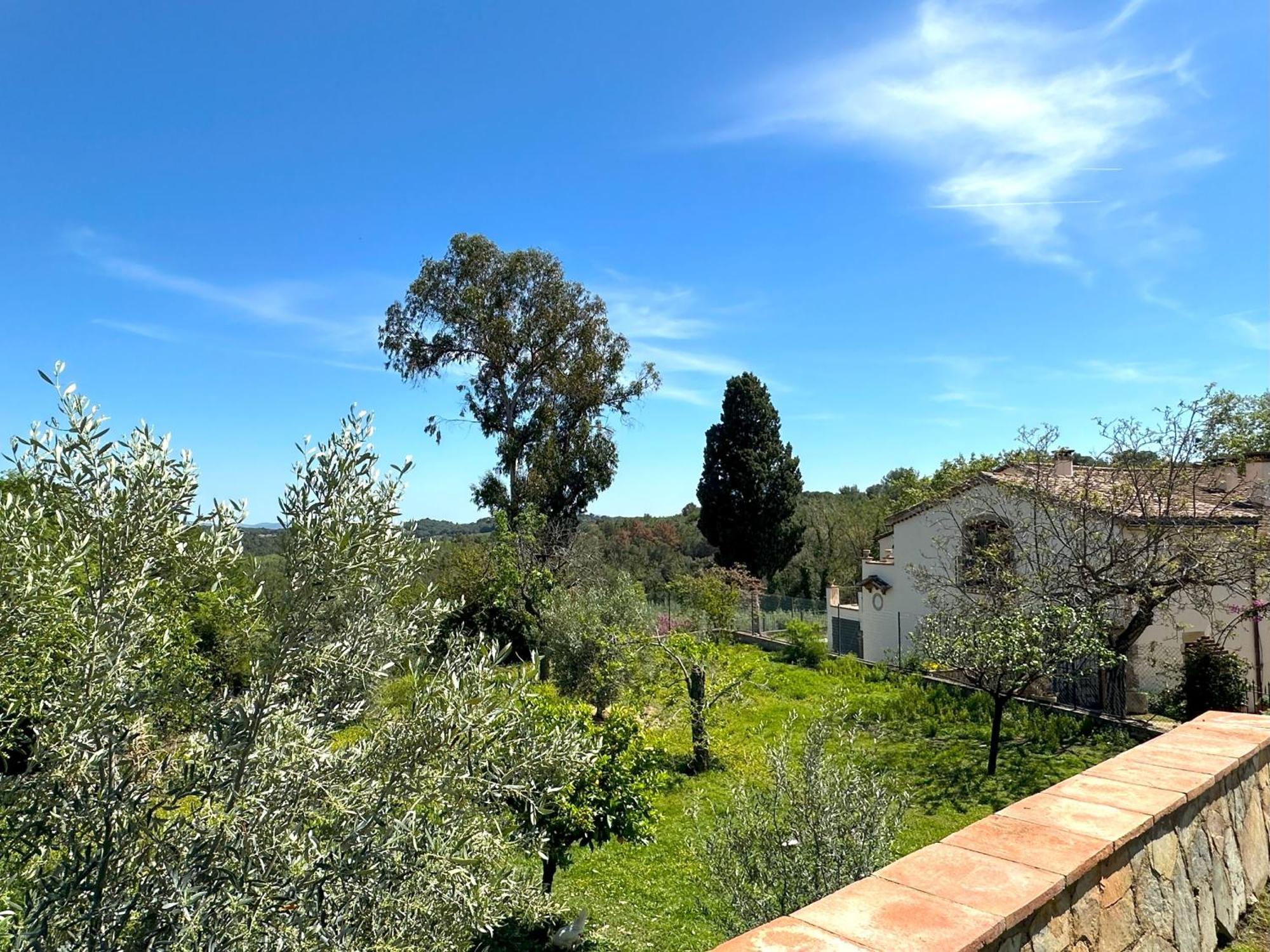 Masia Can Viver - Olive Oil Tourism B&B Bigues I Riells Exterior photo