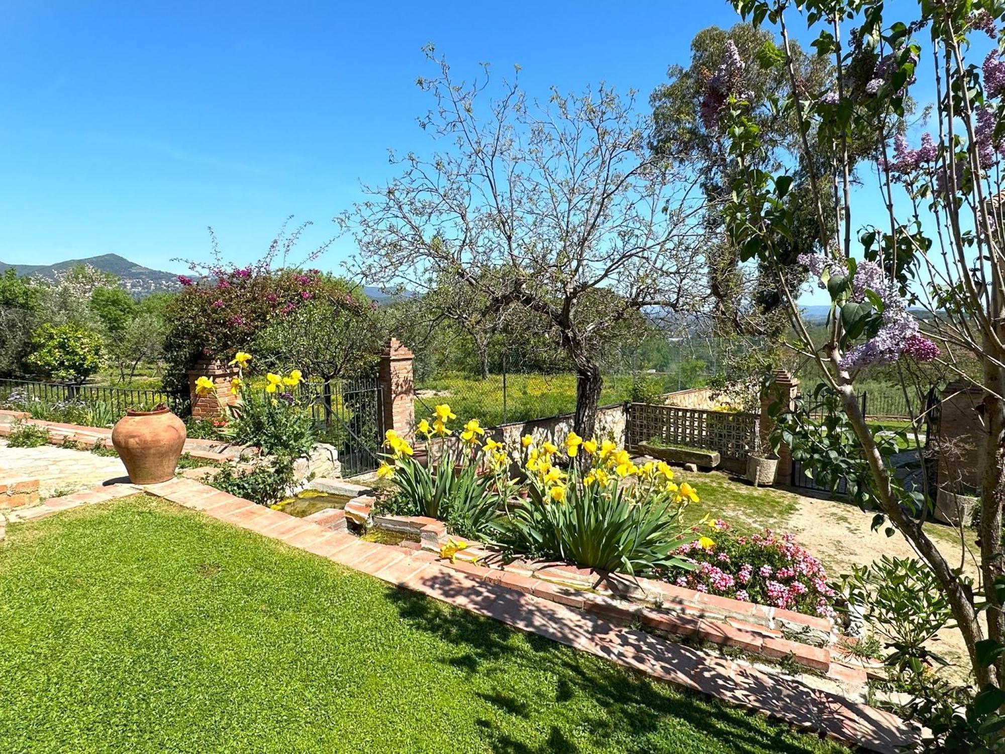 Masia Can Viver - Olive Oil Tourism B&B Bigues I Riells Exterior photo