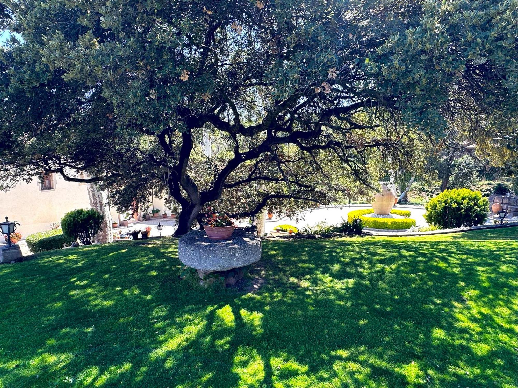 Masia Can Viver - Olive Oil Tourism B&B Bigues I Riells Exterior photo